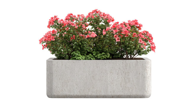 Stone city planter filled with abundant pink flowers isolated on black.