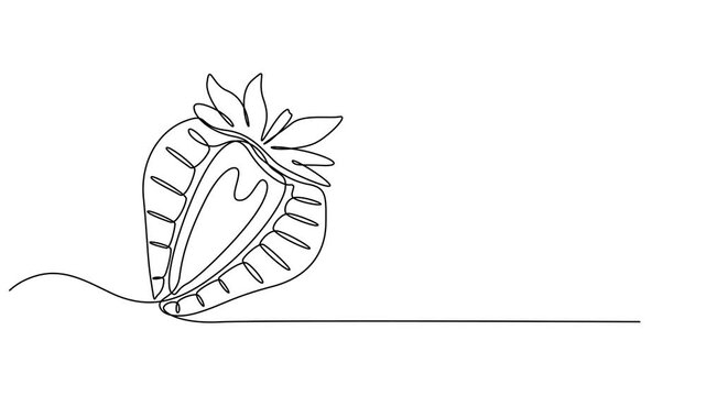 Strawberry, one line drawing animation. Video clip with alpha channel, Self drawing line animation organic strawberries fruit Fresh berries fruitage continuous one single line drawn concept video pro.