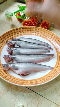 Mute vertical footage: seven pabda (butter catfish) arranged one by one on a plate. Clean kitchen preparation, raw seafood plating&mdash;great for Bengali recipes, reels, shorts and food-edit projects.
