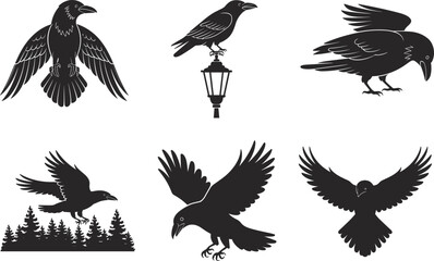 Silhouette vector illustration of crow and raven in flight, perched, spreading wings, forest background, bird design, wildlife symbol, black bird graphic element