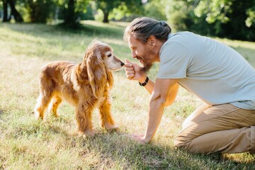 Mature man bonding with his cocker spaniel in a sunny park