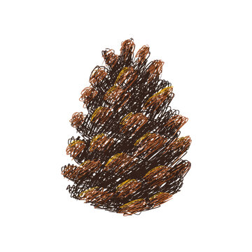 Colorful brown pinecone crayon scribble drawing with yellow accents.