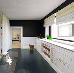 Modern Kitchen Minimalist Design