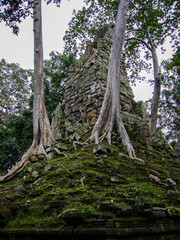 Fototapeta premium Angkor Wat: The Giant Trees of Ta Prohm 2003