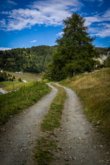Fototapeta premium paesaggio estivo in montagna