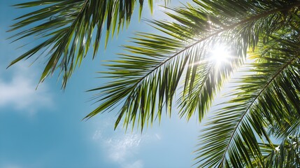 Bright summer sunlight streaming