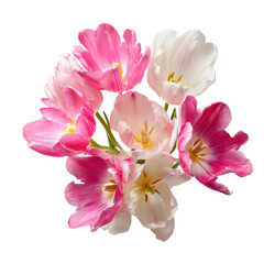 Spring floral arrangement flower bright mood isolated on transparent background