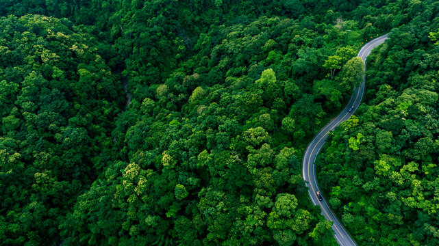 Top view road in beautiful autumn forest at sunset, trees with red and orange leaves , Beautiful landscape view from flying drone in Nature - Powered by Adobe
