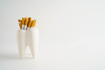 Cigarette with teeth isolated on white background, damage the health of your teeth, No smoking.