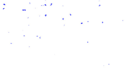 青いバラの花びらの乱舞：背景透過