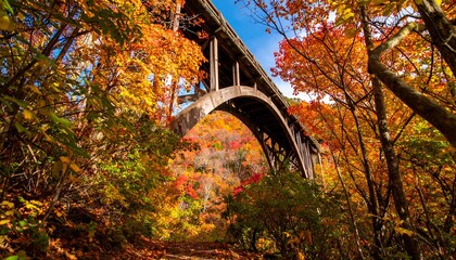 Autumnal bridge scenery in a vibrant display of colors under clear sky