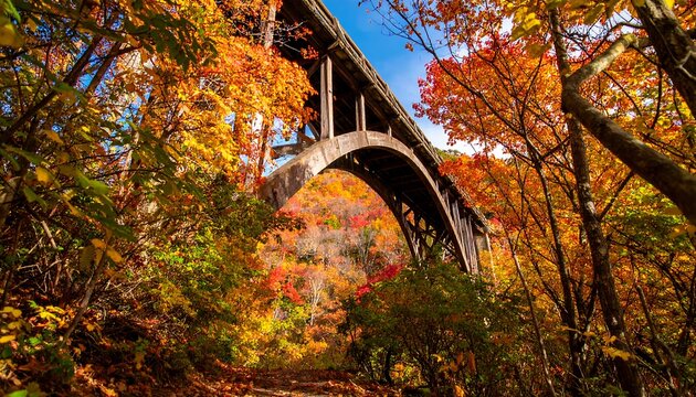 Autumnal bridge scenery in a vibrant display of colors under clear sky
