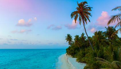 Banner Summer with sunset scene as palm trees on the beach background