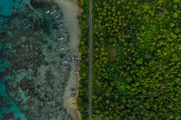 Aerial view of coastal road and lush greenery