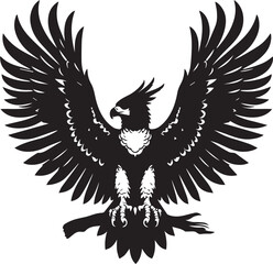 Obraz premium Harpy Eagle Vector in black and White