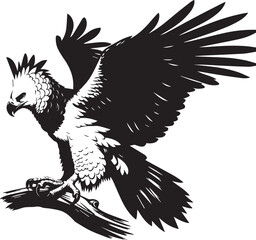 Harpy Eagle Vector in black and White