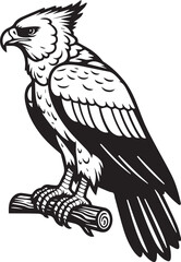 Harpy Eagle Vector in black and White