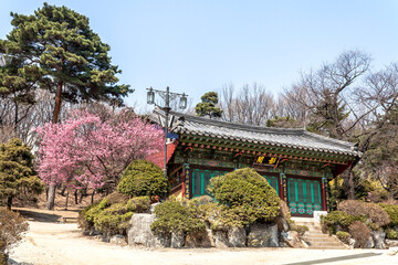 봄