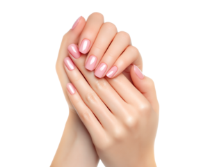 Elegant Female Hands with Perfect Pink Manicure and Healthy Skin isolated on a transparent background