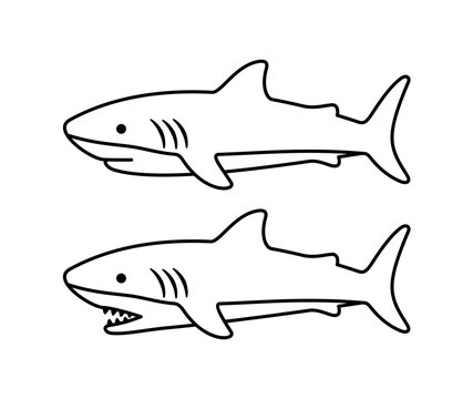 Shark vector. Symbol, fish, animal, sea