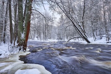 Winter river in a snowy forest.