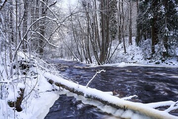 Serene Winter Forest with Flowing River