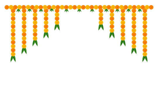 Marigold flower elements different types decoration: traditional celebration festival of dussehra, Diwali, wedding, invitation, card, floral on transparent background, vector design