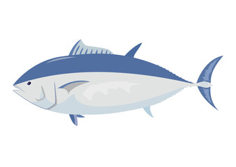 マグロのイラスト