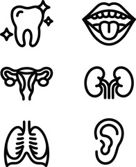 Various Human Body Organs Anatomy and Physiology Illustration for Education and Medical Purposes Including Tooth Lips Uterus Kidneys Lungs and Ear