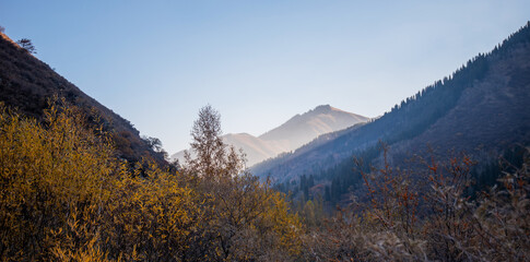 the serene beauty of a mountainous landscape at dawn or dusk, with sun rays gently highlighting the ridges and an array of autumnal trees dotting the slopes, creating a peaceful, ethereal scene.