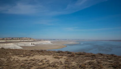 Wandcirkels Pantone 2025 Mocha Mousse The expansive and arid landscape of the Ustyurt Plateau in Kazakhstan, with a large salt flat. The terrain is barren, with low, eroded cliffs visible in the distance under a vast blue sky.  © eskstock
