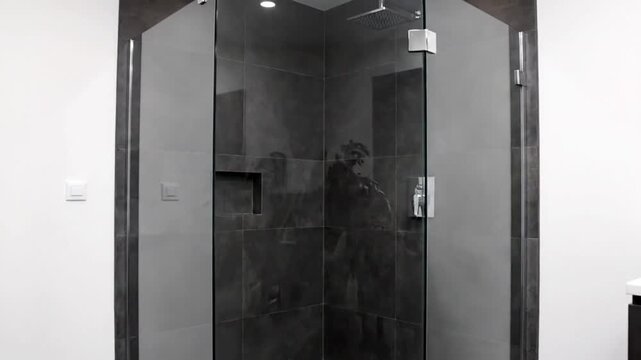 Modern Corner Glass Shower Enclosure with Rainfall Showerhead and Built-in Niche