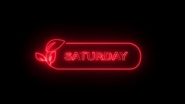 Glowing neon lines Saturday text animation on black background. Neon Saturday neon sign animation. Ideal for Weekday Calendar Icons, i Phone Themes and Digital Graphics. 4k video animation.