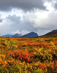 Obraz premium Autumnal mountain vista (1)