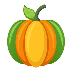 Minimalist color vector illustration of a fall gourd vegetable