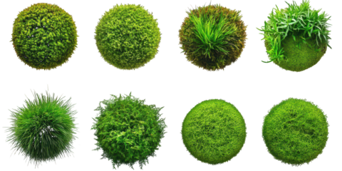 Collection of Eight Spherical Green Moss Balls with Varied Textures sphere round isolated on a transparent background