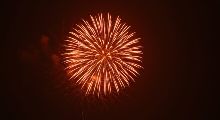 Fototapeta premium Orange Fireworks Display