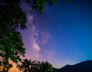 Fototapeta premium Milky Way over trees and mountains
