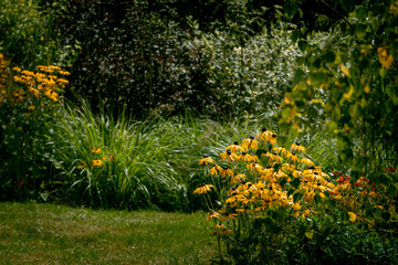 Diffused streams of water irrigate plants from the garden irrigation system