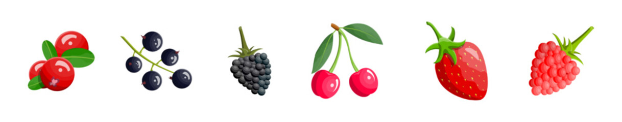 Collection of fresh wild berries. Healthy organic food. Natural dessert and vitamins concept. Summer fruit set.