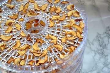 Dried pears on the grid of an electric fruit and vegetable dryer. Homemade dried fruits are healthy and natural food without sugar and preservatives