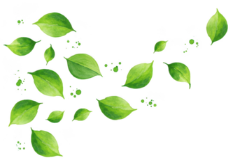 Floating green leaves and droplets abstract nature design element transparent background