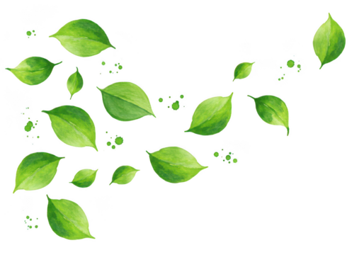 Floating green leaves and droplets abstract nature design element transparent background