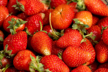 red sweet strawberries , red ripe strawberries after harvesting and preparing berries for sale