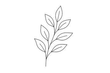 Obraz premium Nature, plant outline icon set. botanical, leaf, floral line icons for eco projects