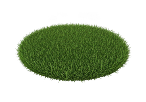 Close-up view of textured green surface on a transparent background