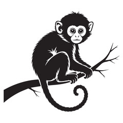 Fototapeta premium A curious black silhouette of a young monkey perched on a thin tree branch with a curly tail