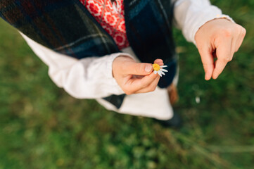 Fortune telling on a chamomile, a flower in a child's hands
