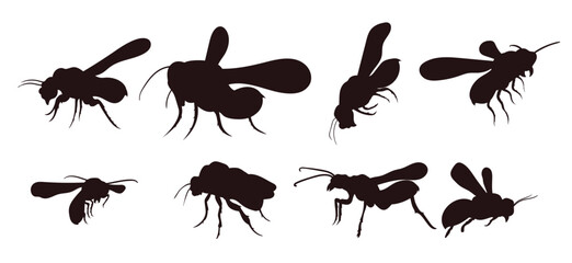bee silhouette with many options flying bee honey insect