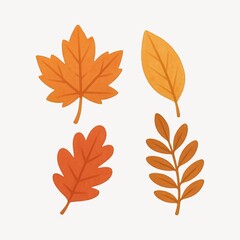 Autumn leaves illustration set.